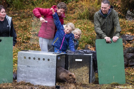 Family releasing beavers into Glen Affric